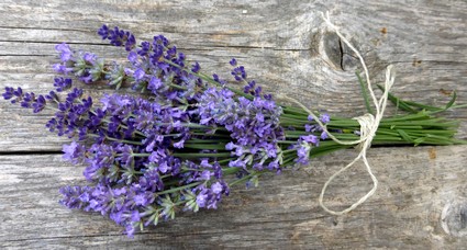 Lavendelblüten zum Räuchern