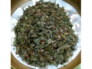 Waldmeister - heimisches Räucherwerk