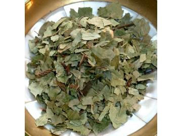 Birkenblätter zum Räuchern