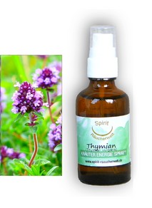 Thymian | Energie und Aura Spray - 50ml