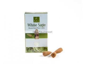 Balaji White Sage Masala Rückfluss - Backflow Räucherkegel